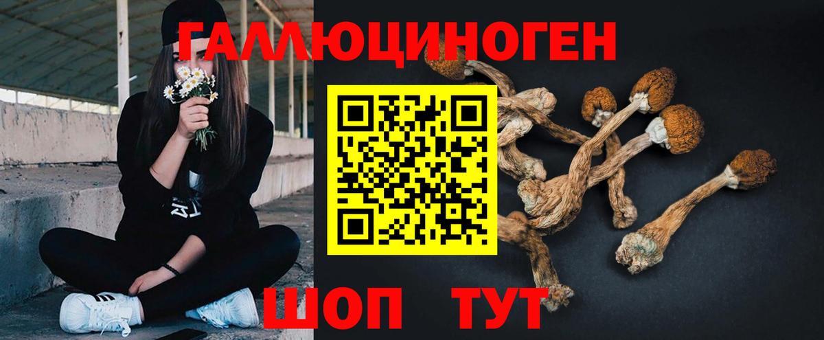 Галлюциногенные грибы мухоморы Чернушка